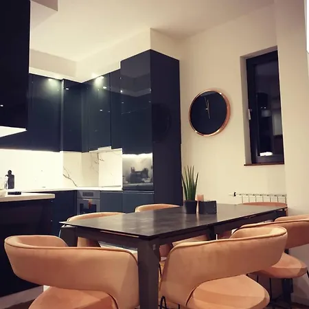 公寓 Premium Living 塞拉耶佛